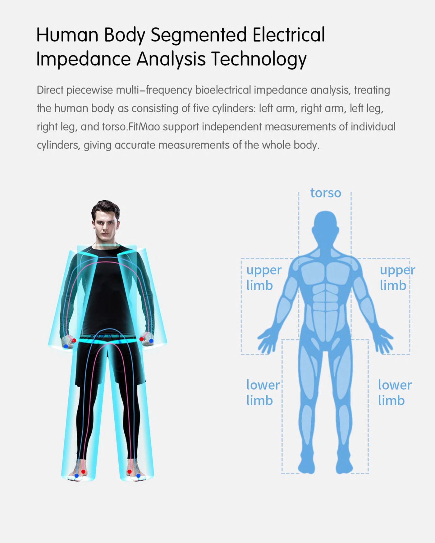 280-Body-Composition-Analyzer-ok--6