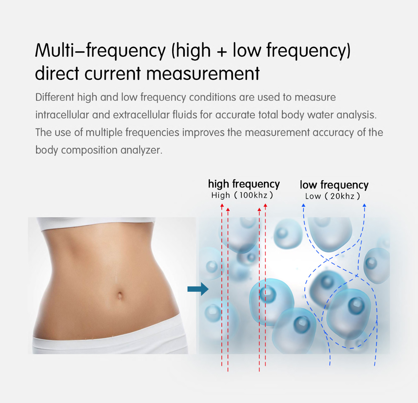 280-Body-Composition-Analyzer-ok--7